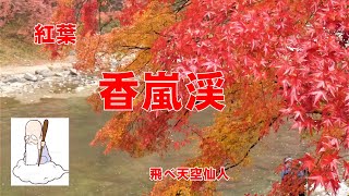 紅葉　香嵐渓　愛知県豊田市足助町　飛べ天空仙人