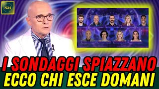 🟥GRANDE FRATELLO - I SONDAGGI SPIAZZANO, SEMBRA CHIARO CHI VERRÀ ELIMINATO!