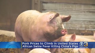 Disease Hitting China's Pigs To Raise Price Of Pork In U.S.