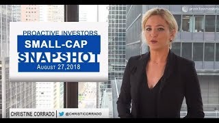 Small-Cap Snapshot