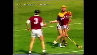 1996 All Ireland Hurling Semi Final Wexford v Galway