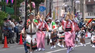 ほおずき連／流し／堀切かつしか菖蒲まつり2015