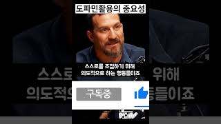 스탠포드 교수 | 도파민 활용의 중요성!!! (Dr. Andrew Huberman)#andrewhuberman