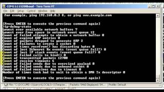 FreeRTOS+UDP Echo Client Example