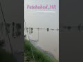 fatehabad haryana fatehabad rain youtubeshorts