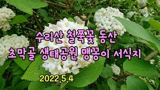 수리산 #가는길 #초막골 생태공원