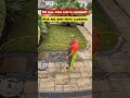 nice and easy low pressure patio cleaning