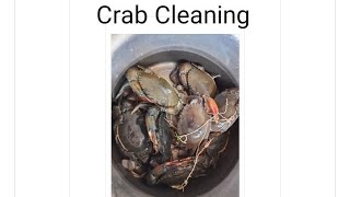 खेकडा साफ करण्याची सोपी पद्धत ( Crab Cleaning) part 1