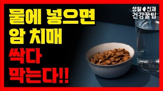 물에 넣으면 암 치매 싹다 막는다!  | 한국인 99%가 모르는 아몬드 먹는 방법 | 아몬드 꼭 이렇게 드세요! | 암 치매 막아줍니다 | 견과류 아몬드 건강하게 먹는 방법