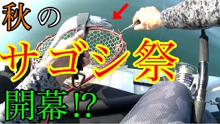 【2馬力ゴムボート】ジギングしていたら目の前でナブラが発生　㏌　松浦