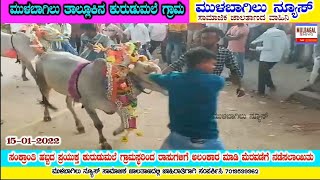 kurudumale SANKRANTHI festival celebration 2022