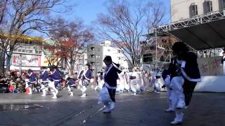 楽天舞／中央公園会場1st／ホカホカよさこい2010