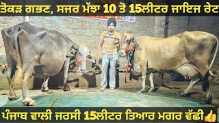 10 ਤੋ 15ਲੀਟਰ 4 ਮੱਝਾ ਤੋਕੜ ਗਭਣ ਅਤੇ ਸਜਰ। cows and Buffalo for sale/vadiya farm/3-9-24