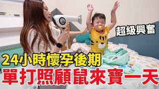 挺大肚子+照顧鼠來寶24小時也沒問題的秘訣！【Bobo TV】