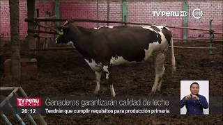 Ganaderos garantizan calidad de leche