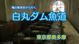 鳩の巣渓谷から行く白丸ダム魚道　shiromaru Dam fishway