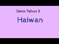 Sains tahun 3 haiwan tabiat pemakanan haiwan