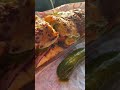 viral steak sandwich from quiznos