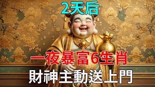 大事好發生！2天後一夜暴富6生肖！財神主動送上門！富貴就在一瞬間！未來3代人不愁！#運勢 #風水 #佛教 #生肖