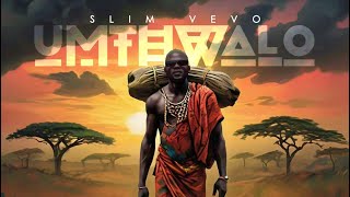 Slim Vevo Moyo (Official Audio)