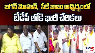 Chittor TDP MLA Jaganmohan Election Campaign | Chandrababu Naidu | Tv5 News