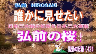 誰かに見せたい　弘前の桜　【 日本三大夜桜・日本三大桜名所　弘前の満開の桜 】