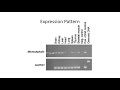 genetics of human brain size evolution