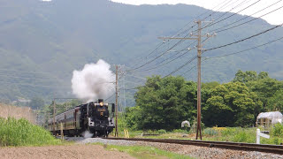 2013.6.02 秩父鉄道　樋口～野上間　SLパレオエクスプレス　C58 363 後藤式変形デフ装着