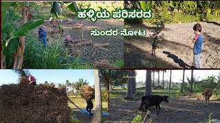 #villagelifestyle \u0026 nature ಹಳ್ಳಿಯ ಪರಿಸರದ ಒಂದುಸುಂದರ ನೋಟ.ಯಾರಿಗೆಲ್ಲ ಈರೀತಿಯಪರಿಸರ ಅಂದ್ರೆಇಷ್ಟ ಕಾಮೆಂಟ್ ಮಾಡಿ