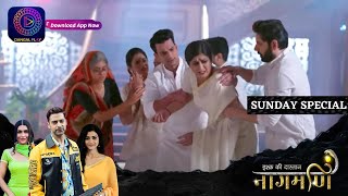 Ishq Ki Dastaan Naagmani | 15 October 2023 | Sunday Special | इश्क़ की दास्तान नागमणि | Dangal TV