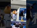 つば九郎🐧マスコットステージでご挨拶2024 07 02 つば九郎 ヤクルトスワローズ スターマン 横浜スタジアム