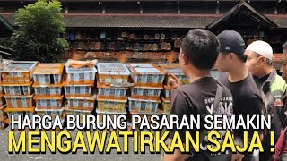 PASAR BURUNG ! REKOMENDASI KIOS LENGKAP BAHAN GACORAN DI PASAR BURUNG PRAMUKA HARI INI