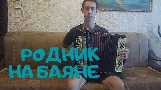 Родник на баяне + текст / За родником белый храм...