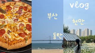 vlog 💛이재모피자,롯데빵 구하기,올리브영 화장품추천,천안동탄평택 데이트,가지덮밥 만들기,하이파이브영화,물고기카페,메가커피 신상