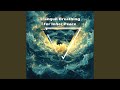 Contemplative Action - Storm Surge Waves