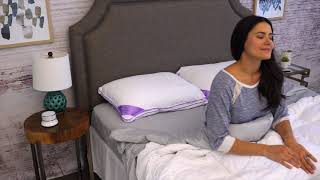 BioSense 2-in-1 Classic Pillow for All Sleepers