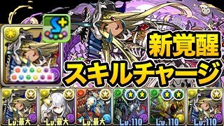 新覚醒でスキル溜め！究極したハロウィンソニアグランが強い！【パズドラ】