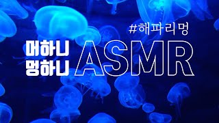 [멍ASMR] 오늘같은 날엔 해파리와 함께 물멍때리기 | music❌ | 심해멍, 바다멍, 물멍 | 집중,  꿀잠😴 | undersea sound, asmr 3 hours