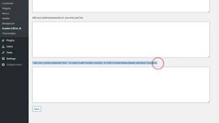 Custom CSS and JS WordPress Plugin