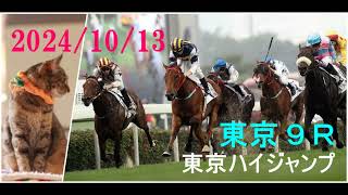 2024/10/13　東京９レース　東京ハイジャンプ（Ｊ・ＧⅡ）枠順確定