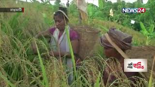 পার্বত্যাঞ্চলে জুম চাষে ভাল ফলন | ফসল কাটার ধুম পড়েছে পাহাড়ীদের মাঝে 23Oct.21