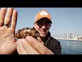 light fishing marukyu isome bait bahrain fishing