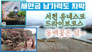 동백꽃과 함께하는 서천 드라이브코스, 남가력도 차박~