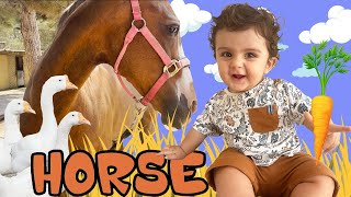 HORSES FOR KIDS ! - Amirali visits a horse ranch and chooses his favorite horse| اسب سواری برای کودک