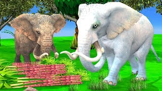 सफेद हाथी Kahani - Story in Hindi Jungle Animal New Stories in Hindi #Kahaniya