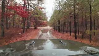 Jeep Gladiator trail ride through Brendan T Byrne Forest, Penn Forest, and Wharton State Park.