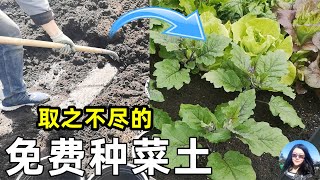 有它再也不用自己堆肥了👍取之不尽的种菜种花土