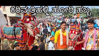 ಕೆರಿಮತ್ತಿಹಳ್ಳಿ ಹೋರಿ ಹಬ್ಬ (ಹಟ್ಟಿ ಹಬ್ಬ) | hori habba | #hattihabba#bullrace#haveri#veeresh #jalikattu