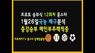 1월26일 프로토 승부식 12회차 국농분석 배구분석