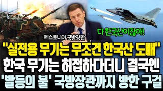 한국산 무기는 허접 하다더니 결국엔 구걸, 발등에 불 떨어진 국방 장관까지 방한하여 긴급 요청